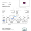 <span>SAP_PINPUR_1.697_PAK_GLA55584-1_1400_000001</span>