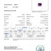 <span>SAP_PINPUR_1.954_PAK_GLA55585-1_1600_000001</span>