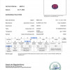 <span>SAP_PINPUR_2.665_PAK_GLA55579-1_2200_000001</span>