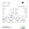 <span>SAP_PURPIN_1.169_PAK_GLA54652-1_900_000001</span>