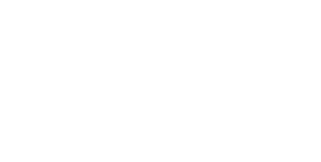 Logo_TNG_weiss