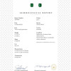 <span>2023-0523_SMA_GLA52432-3_GÜB21030067</span>