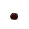 <span>2026-0248_rubred_gla51808</span>